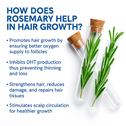 Velora Hair Growth Serum Roll